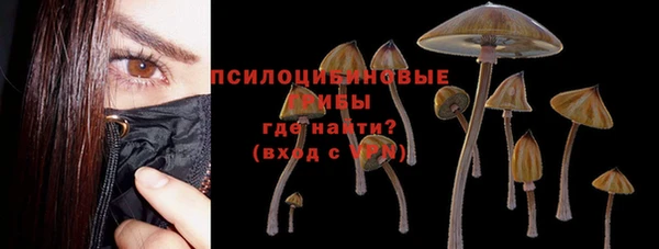 мяу мяу мука Алексин