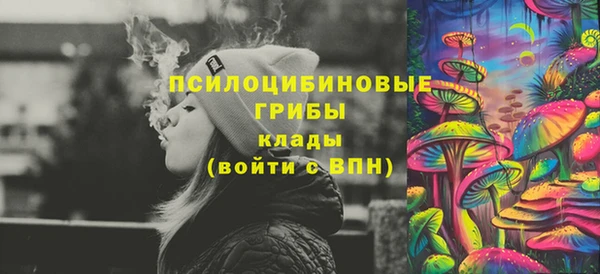 ECSTASY Покачи