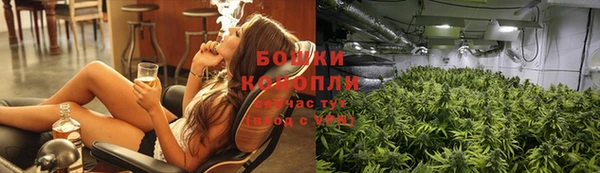 гидра Покровск